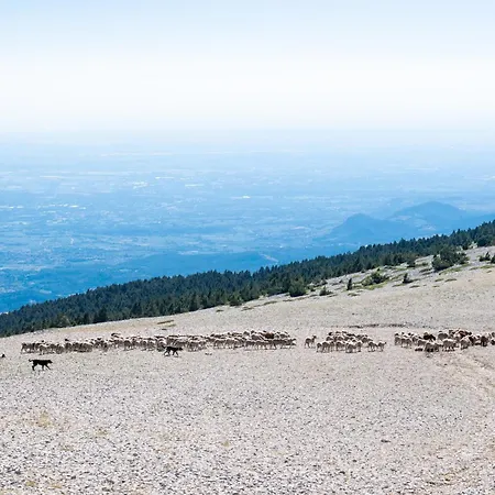 Les Terrasses De Cascavelle * Blauvac